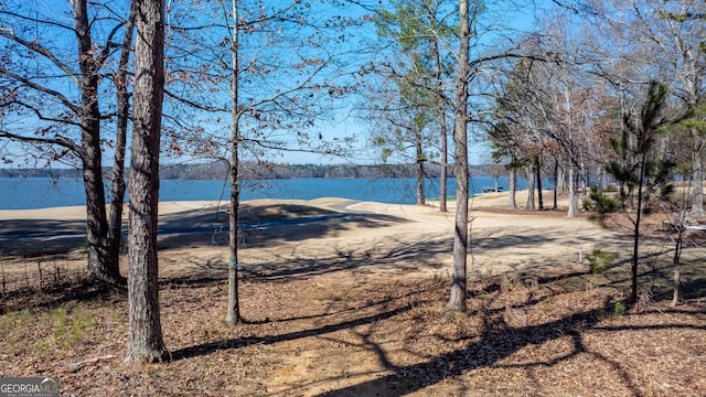 1010 Pine Bluff Cir, Greensboro, GA 30642