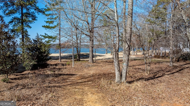 1010 Pine Bluff Cir, Greensboro, GA 30642