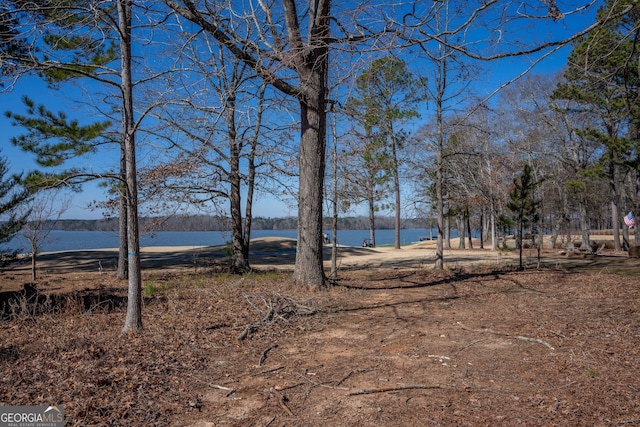 1010 Pine Bluff Cir, Greensboro, GA 30642