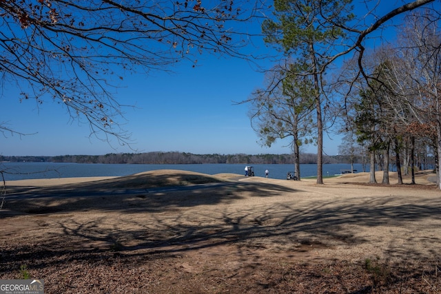 1010 Pine Bluff Cir, Greensboro, GA 30642