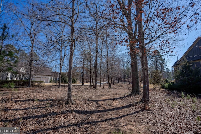 1010 Pine Bluff Cir, Greensboro, GA 30642