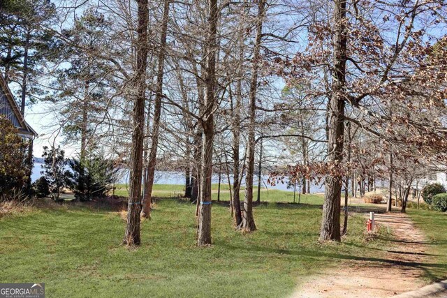 1010 Pine Bluff Cir, Greensboro, GA 30642