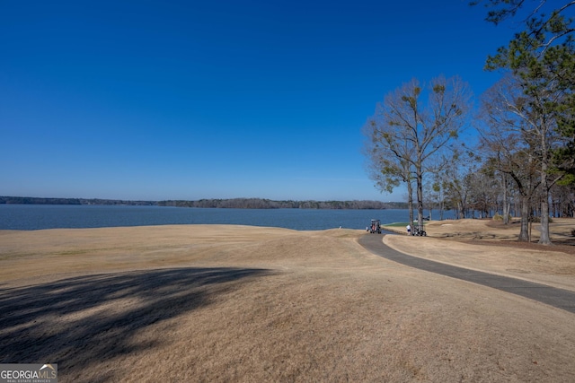 1010 Pine Bluff Cir, Greensboro, GA 30642