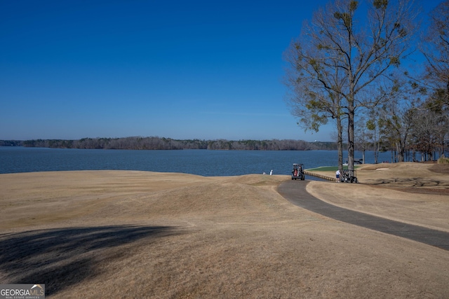 1010 Pine Bluff Cir, Greensboro, GA 30642