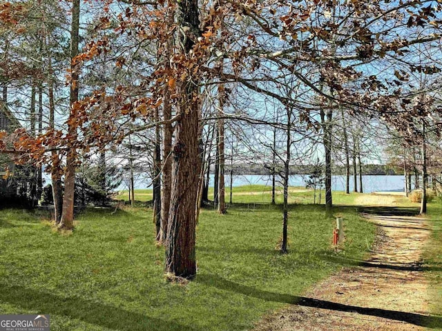 1010 Pine Bluff Cir, Greensboro, GA 30642