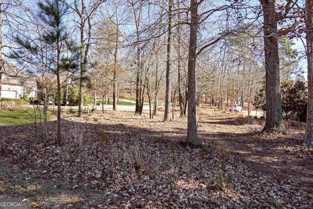 1010 Pine Bluff Cir, Greensboro, GA 30642