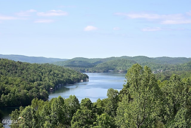 property view of water featuring a mountain view