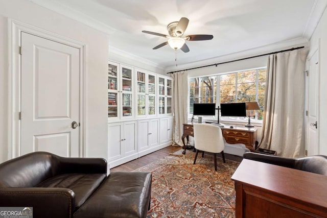 office with ceiling fan, ornamental molding, and dark hardwood / wood-style flooring