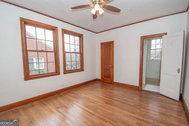 interior space with ceiling fan, crown molding, and light wood-type flooring