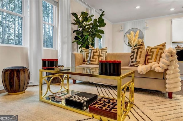 living area with crown molding and plenty of natural light