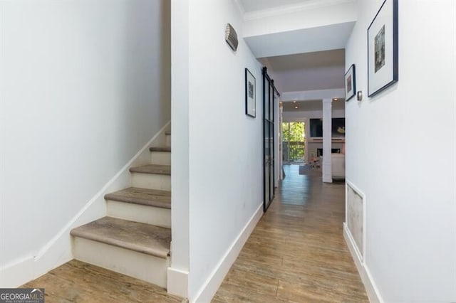 hallway with crown molding and hardwood / wood-style flooring