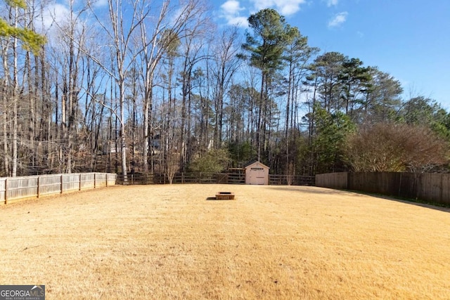 view of yard featuring a storage unit