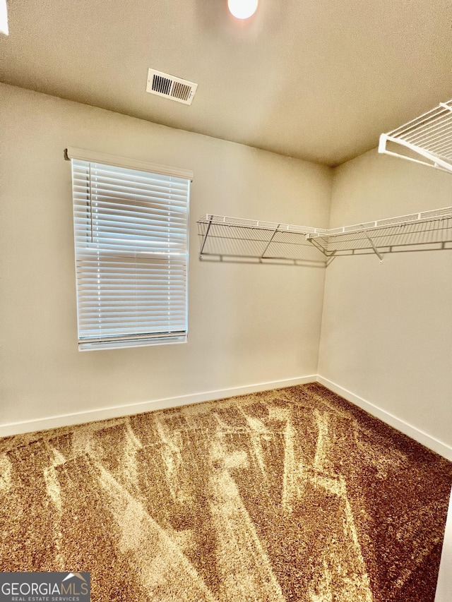 walk in closet with carpet flooring