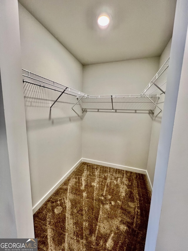 spacious closet with carpet flooring