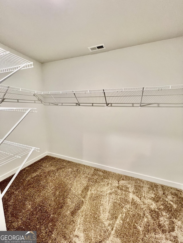 spacious closet featuring carpet flooring