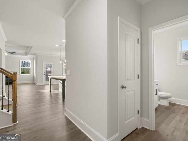 hall featuring light hardwood / wood-style flooring and ornamental molding