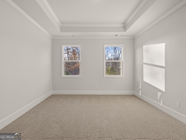 carpeted empty room featuring crown molding and a tray ceiling