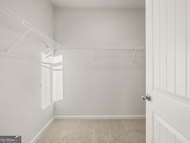 walk in closet featuring carpet floors