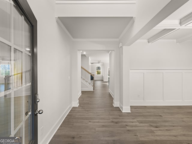 hall featuring ornamental molding, dark hardwood / wood-style floors, and plenty of natural light