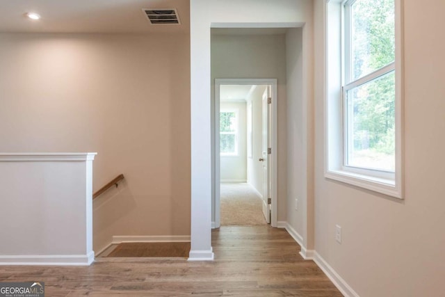 corridor with a healthy amount of sunlight and light hardwood / wood-style flooring