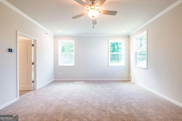 carpeted spare room featuring ceiling fan and ornamental molding