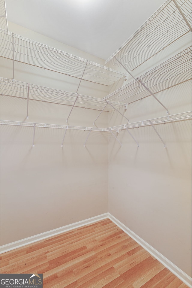 spacious closet featuring hardwood / wood-style flooring