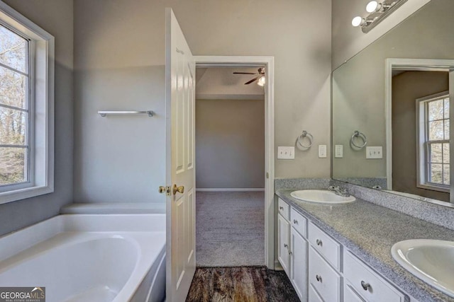 bathroom with vanity, hardwood / wood-style flooring, a wealth of natural light, and a tub