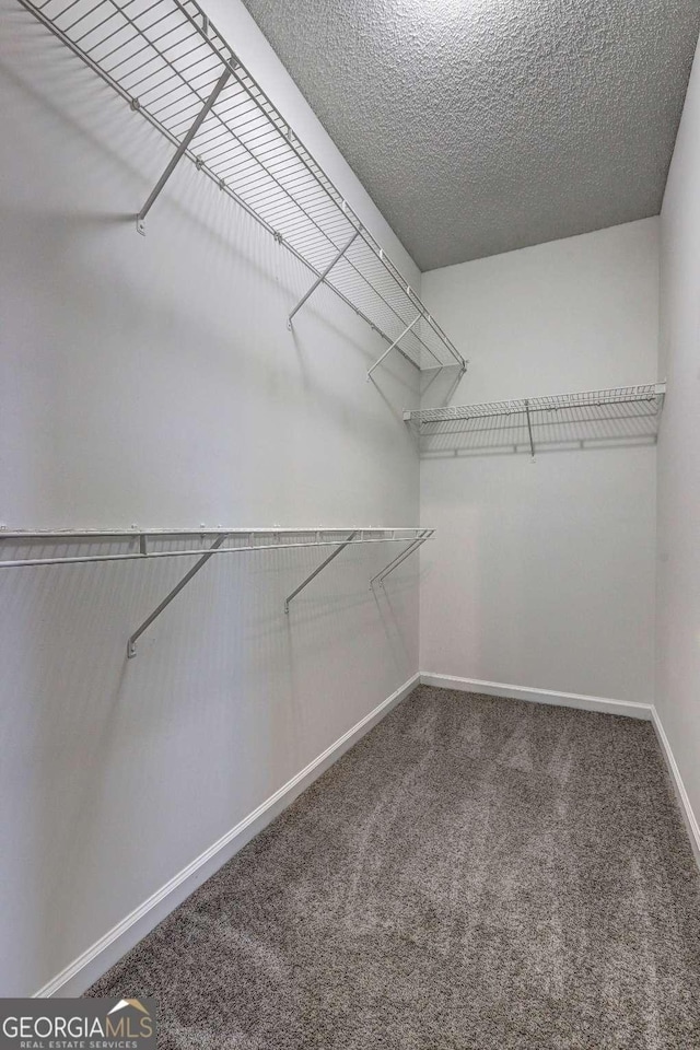 spacious closet with carpet floors