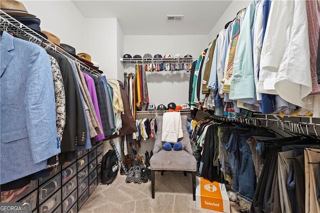 spacious closet featuring carpet