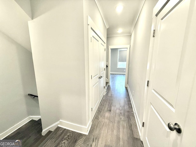 hallway with crown molding and dark hardwood / wood-style flooring