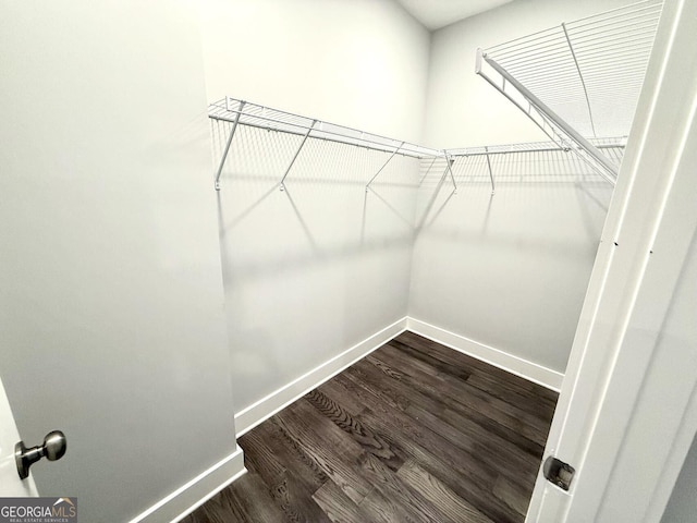 walk in closet with dark wood-type flooring