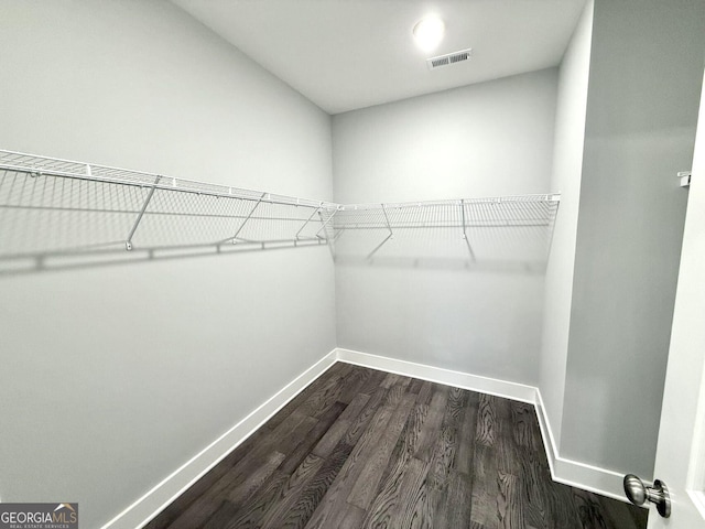 spacious closet with dark hardwood / wood-style flooring