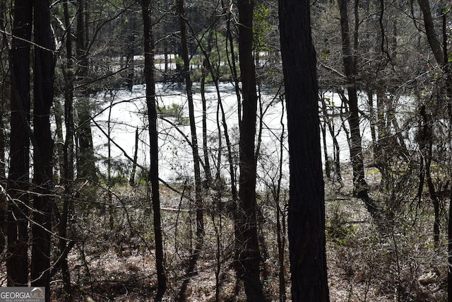 view of water feature