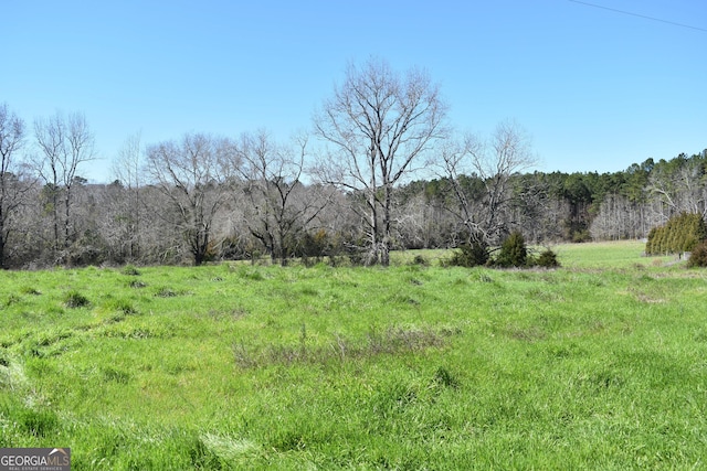 view of yard featuring a rural view