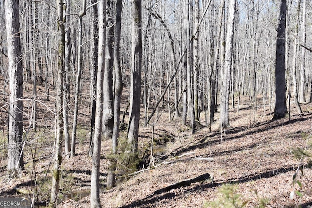 view of local wilderness