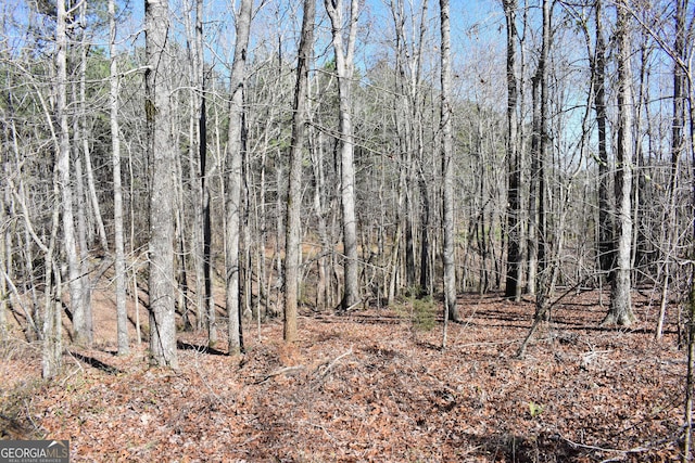 view of local wilderness