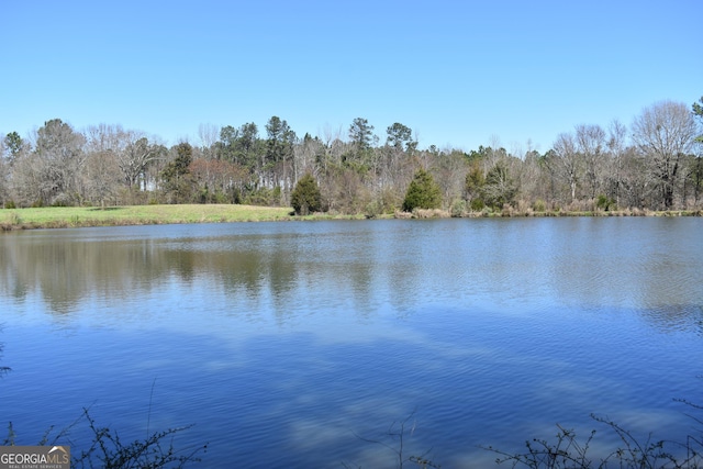 view of water feature