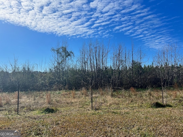 view of local wilderness