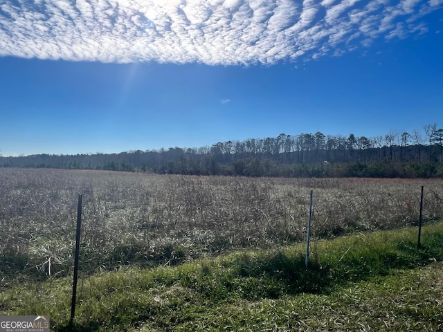 view of yard featuring a rural view