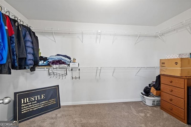 spacious closet featuring carpet