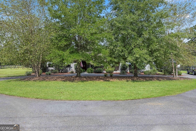 view of property hidden behind natural elements with a front yard