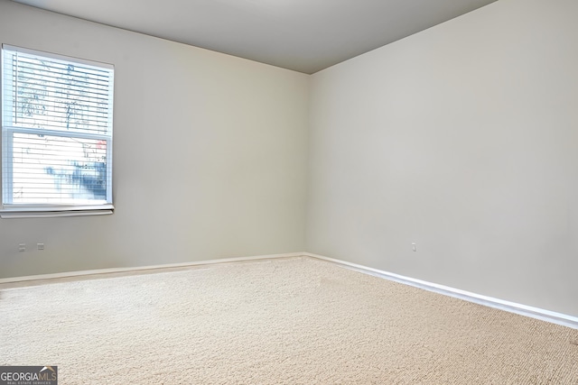 unfurnished room featuring carpet