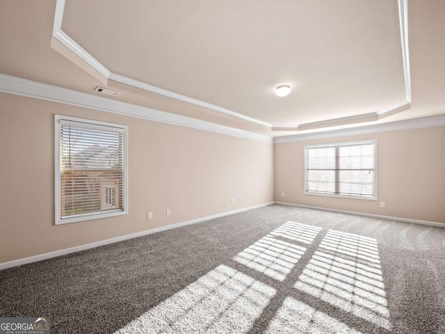 carpeted spare room featuring a raised ceiling, ornamental molding, and plenty of natural light