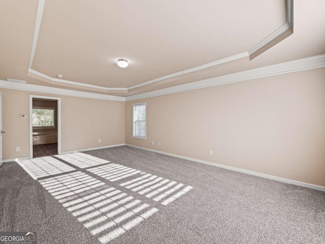 carpeted spare room featuring a raised ceiling and crown molding