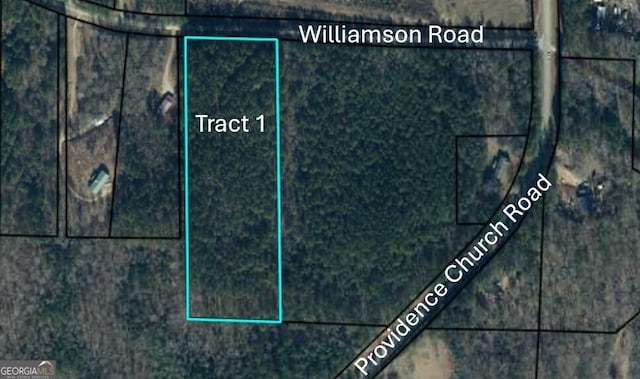 TRACT1 Williamson Rd, Tallapoosa GA, 30176 land for sale