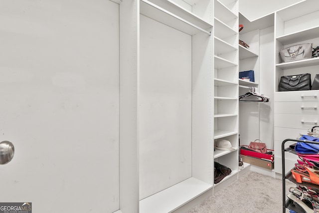 walk in closet with carpet