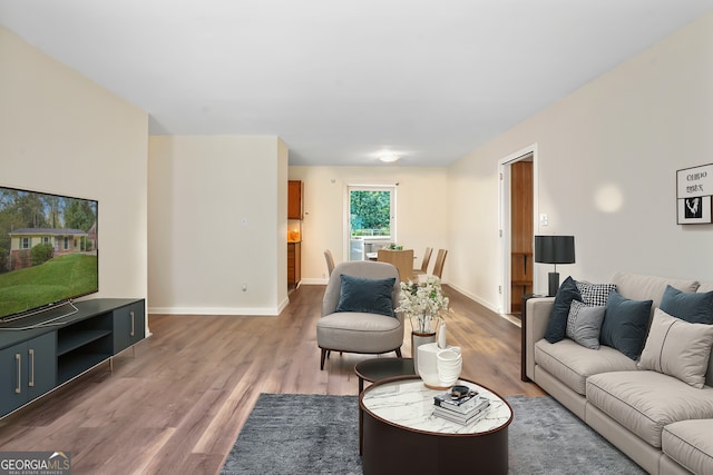 living room with hardwood / wood-style flooring