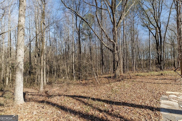 view of local wilderness