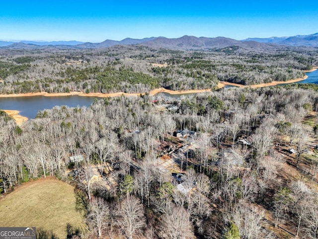 birds eye view of property with a water and mountain view