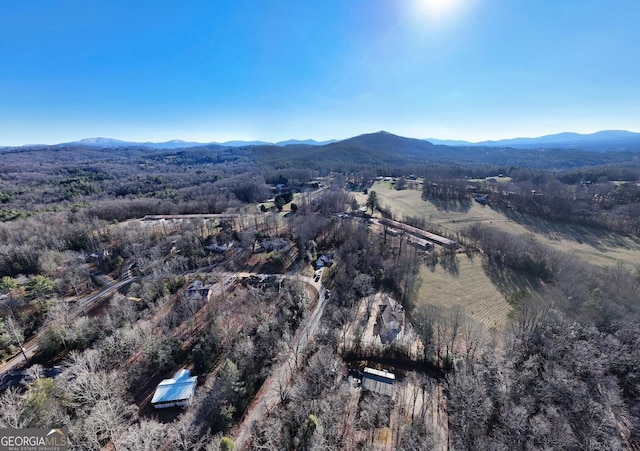 birds eye view of property featuring a mountain view